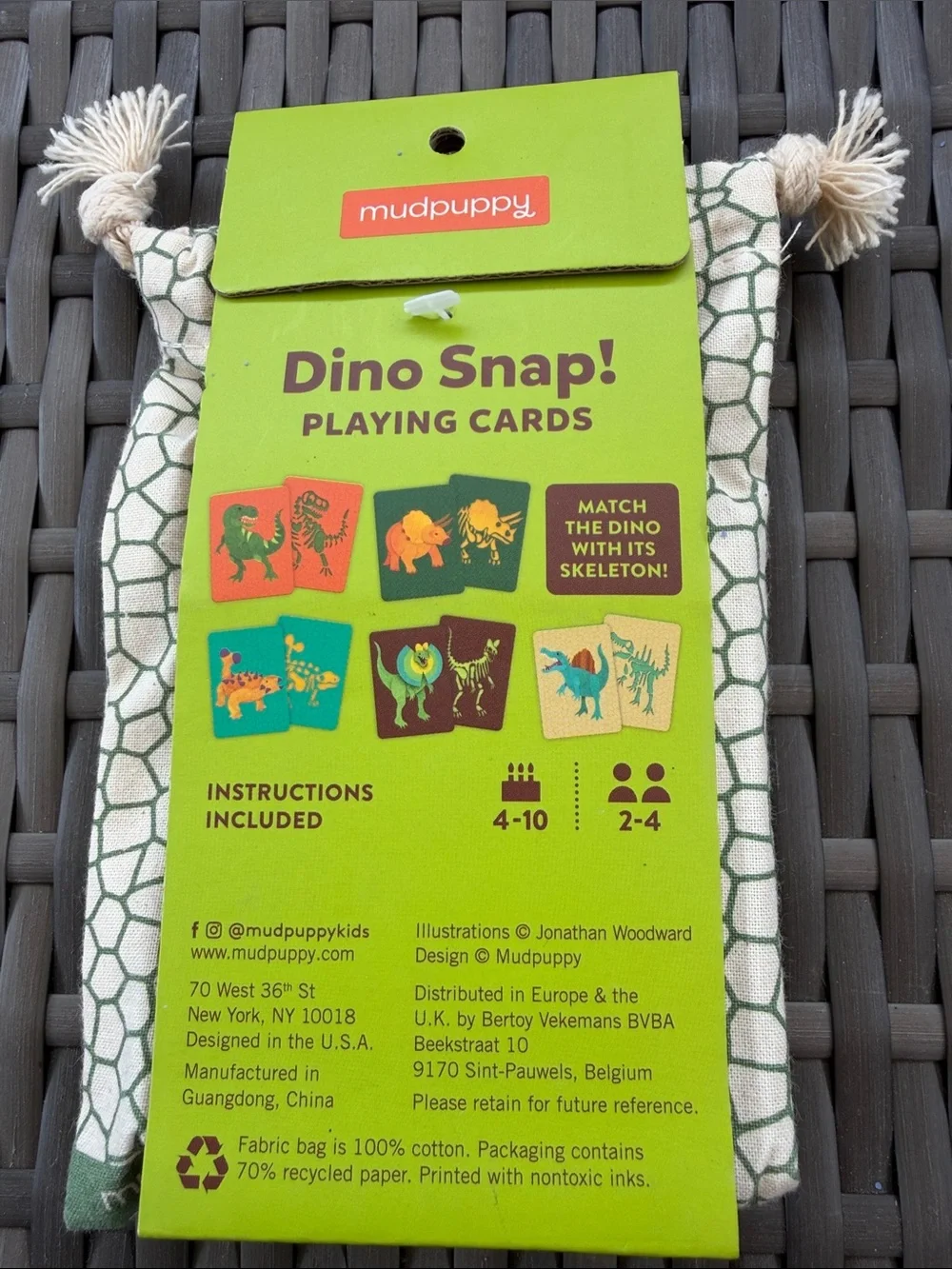 Dino Snap! Green Playing Cards - Kids Reptile Matching Game